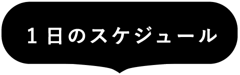 1日のスケジュール