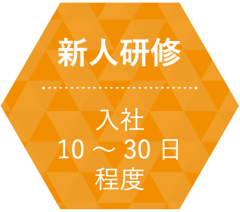 新人研修 / 入社１０～３０日程度