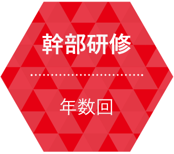 幹部研修 / 年数回